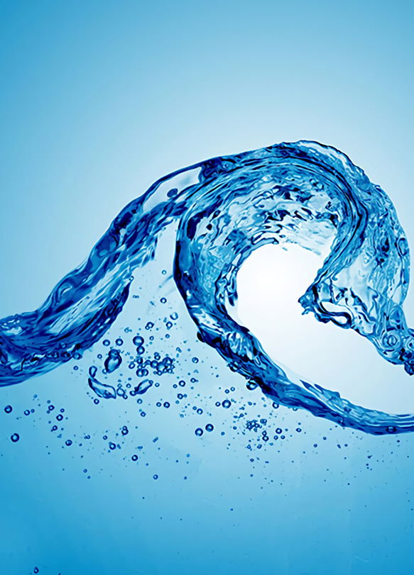 Ensuring the Food and Water Supply for Us All