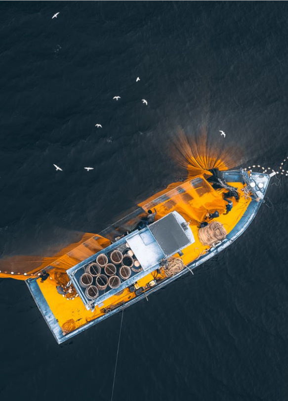 Use Case Explained: Illegal Fishing Monitoring