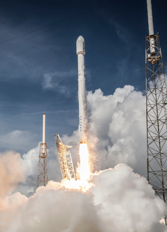The Golden Crown, the Chicago White Sox and the Collapse of Starlink